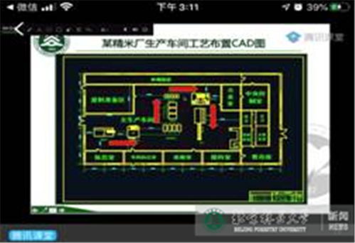 防控動態(tài) 生物學院教師出招助力學生畢業(yè) 動畫制作