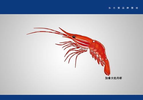 大連平面設(shè)計(jì)與動(dòng)畫制作中如何應(yīng)對(duì)思路打斷的困擾